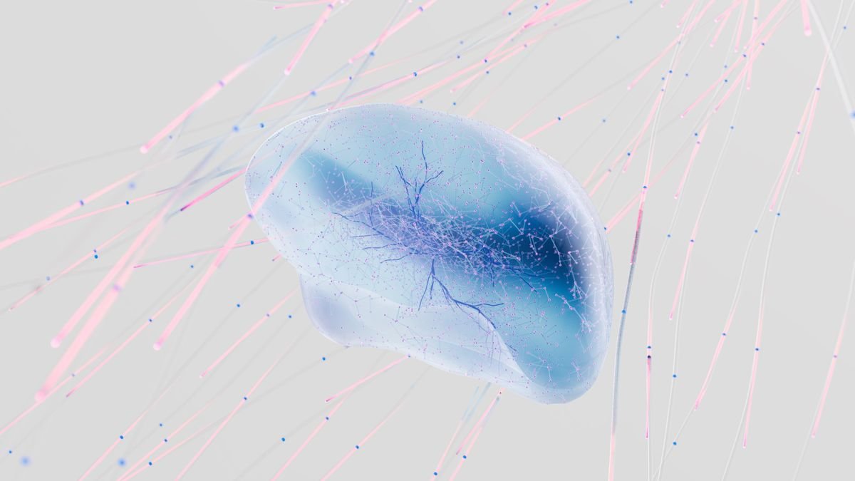 Neuroplasticity: How Your Brain Rewrites Limiting Beliefs
