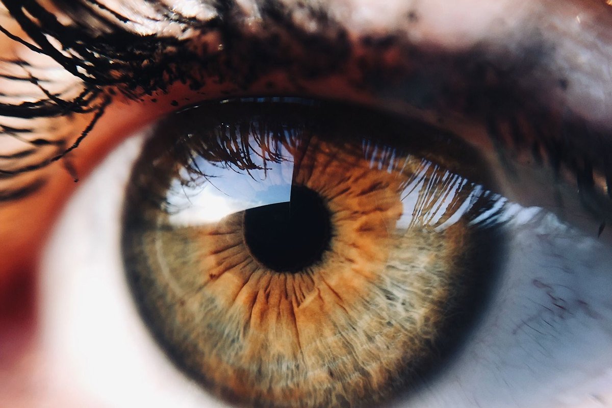 The Belief Filter Protocol — Find What Your Mind Has Been Deleting